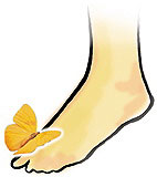 piede e farfalla